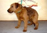 13.03.04 Zgierz gmina samica  51171